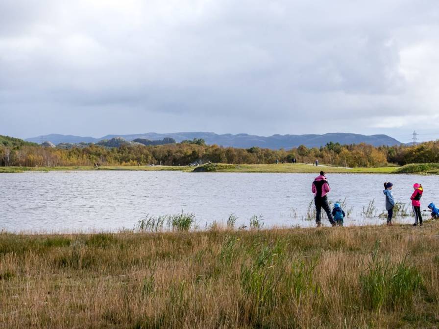 10-2_Rusaset vannkanten